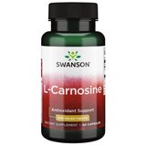 L-Carnosine (Carnozina) 500mg 60 Capsule Swanson